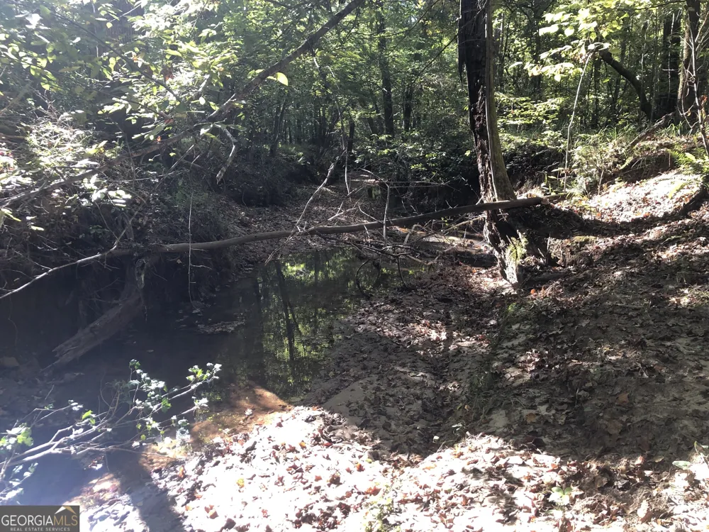 LOT #10 26.88 acres Triune Mill RD Thomaston, GA 30286