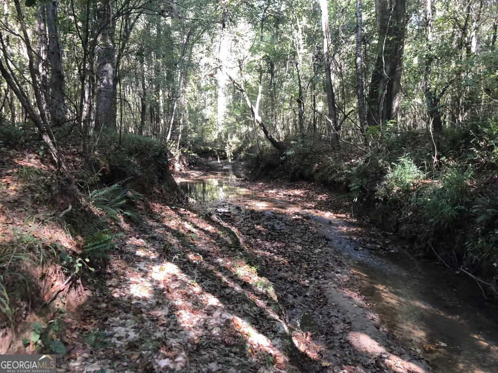 LOT #10 26.88 acres Triune Mill RD Thomaston, GA 30286