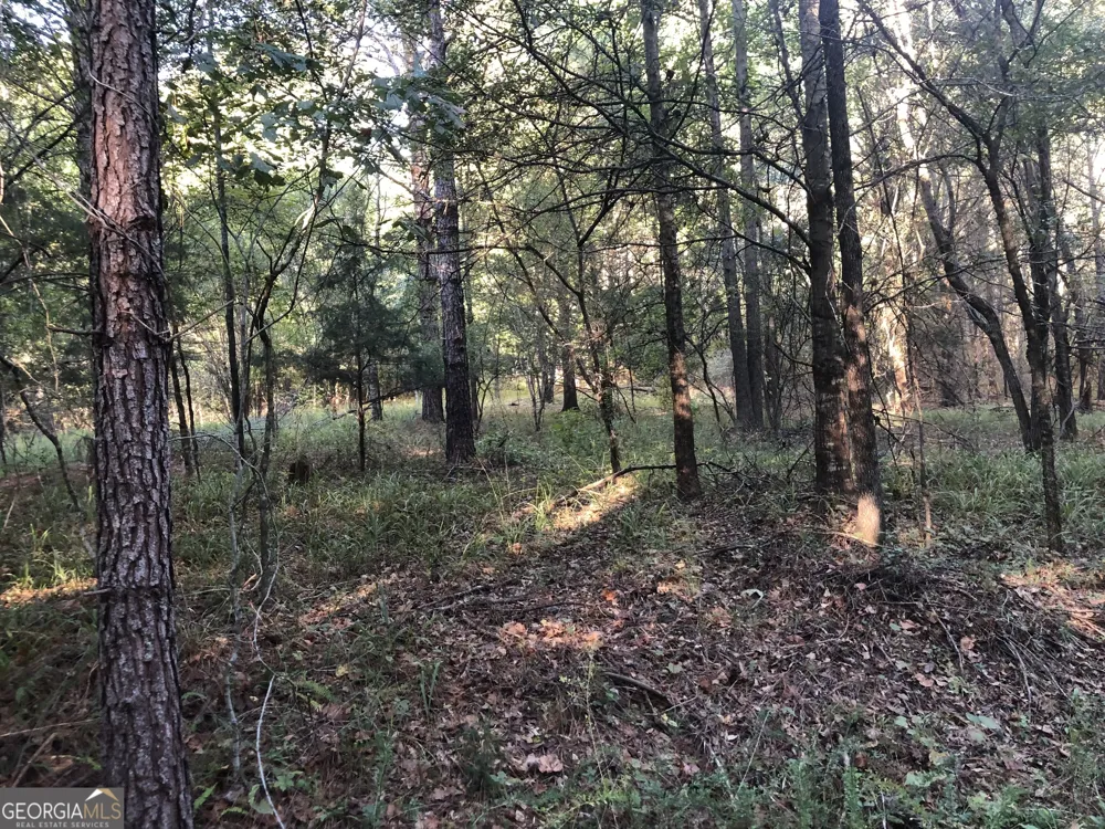 LOT #10 26.88 acres Triune Mill RD Thomaston, GA 30286