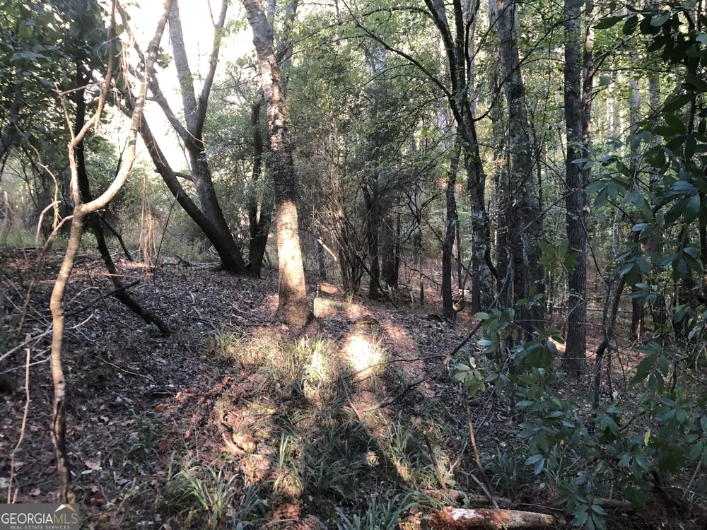 LOT #10 26.88 acres Triune Mill RD Thomaston, GA 30286