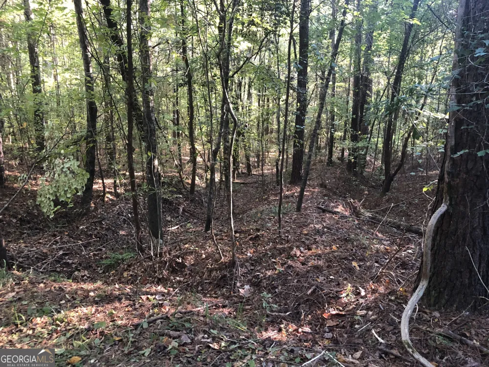 LOT #10 26.88 acres Triune Mill RD Thomaston, GA 30286