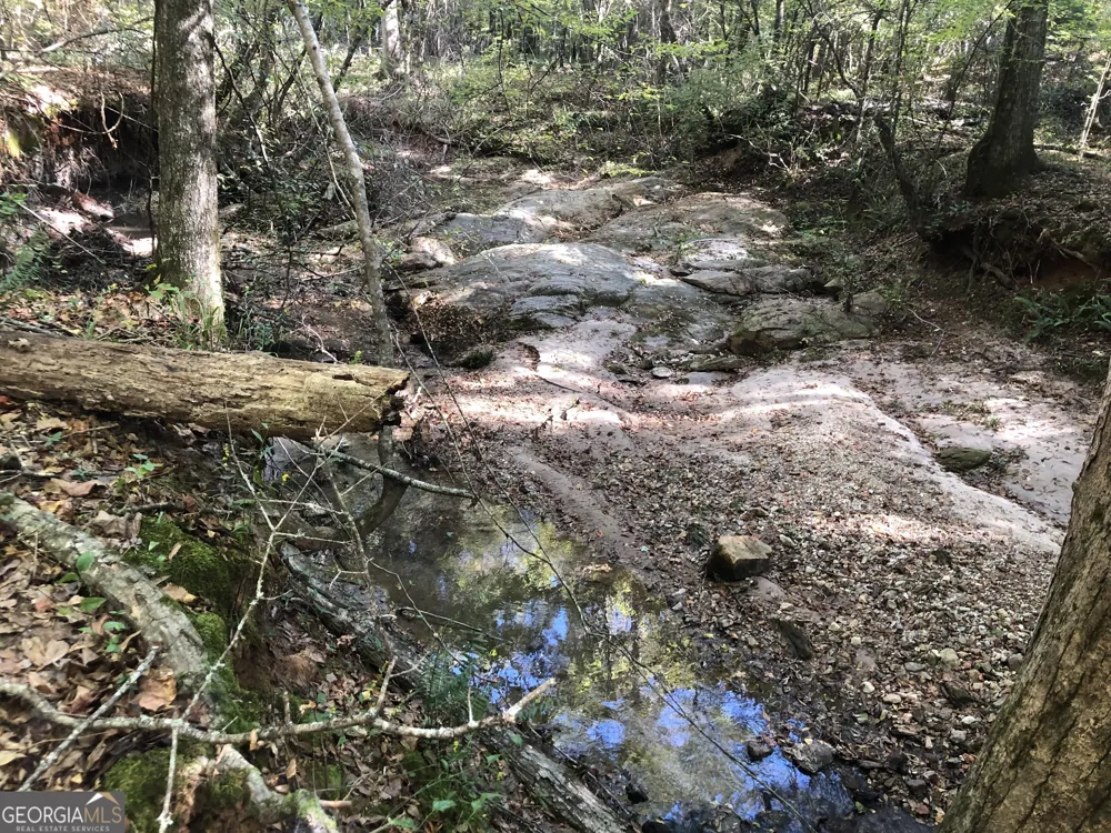 LOT #10 26.88 acres Triune Mill RD Thomaston, GA 30286