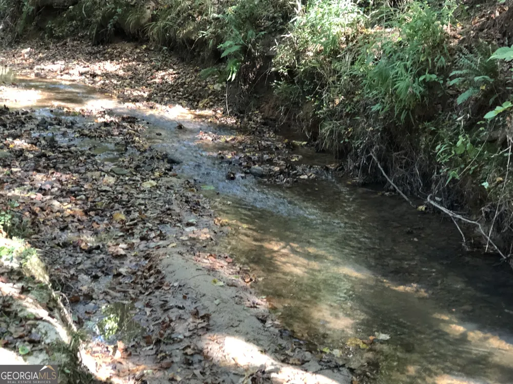 LOT #10 26.88 acres Triune Mill RD Thomaston, GA 30286