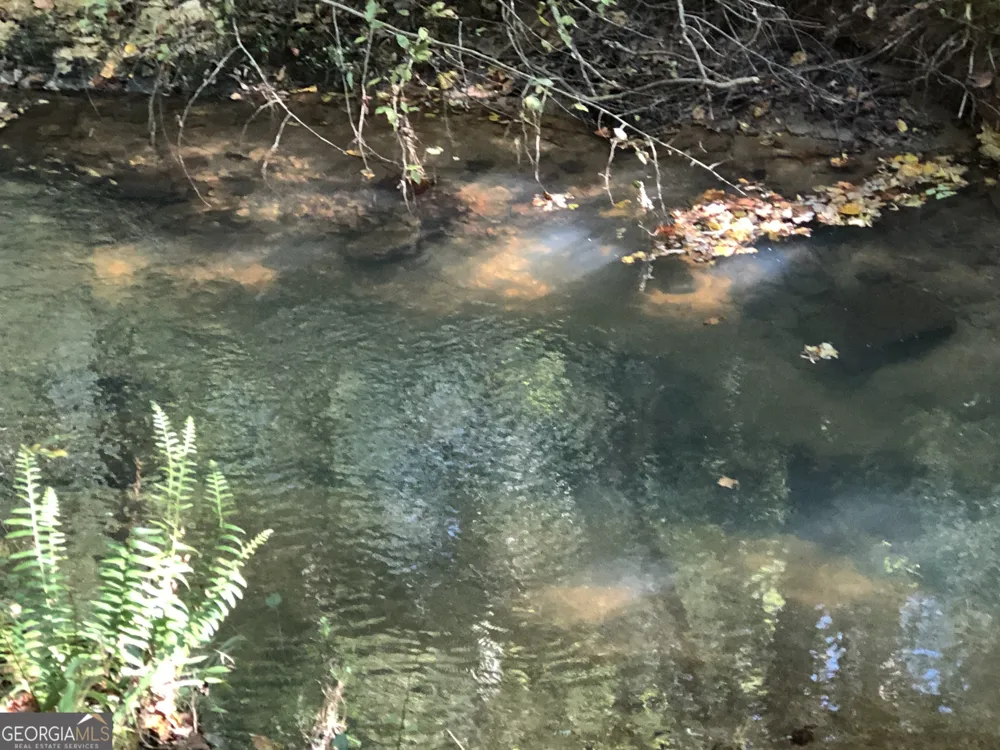 LOT #10 26.88 acres Triune Mill RD Thomaston, GA 30286