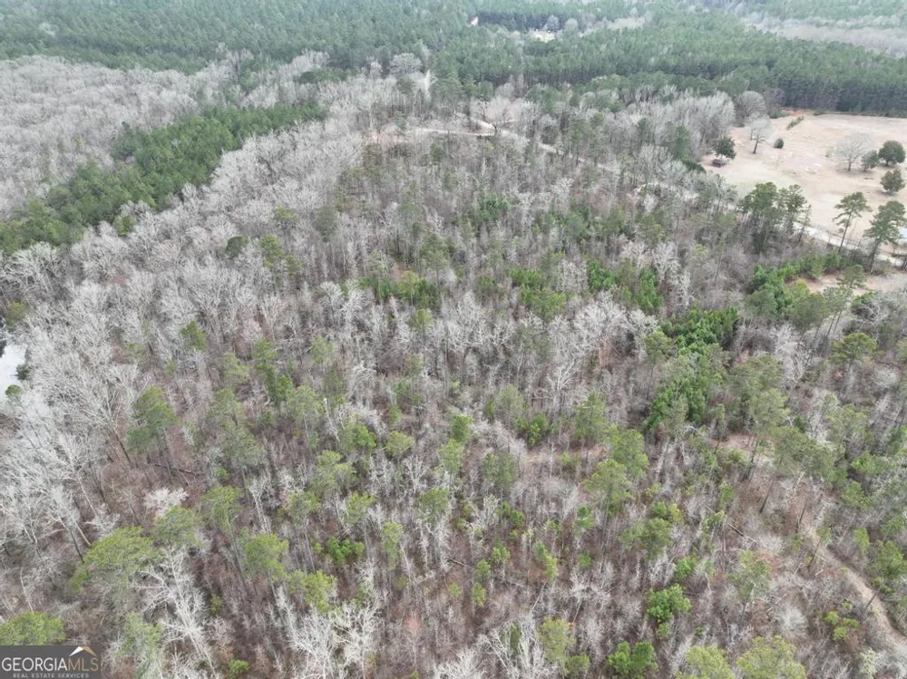 183 Rock Creek RD Flovilla, GA 30216