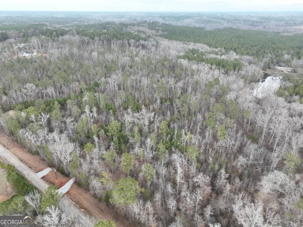 183 Rock Creek RD Flovilla, GA 30216