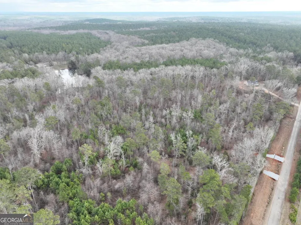 177 Rock Creek RD Flovilla, GA 30216