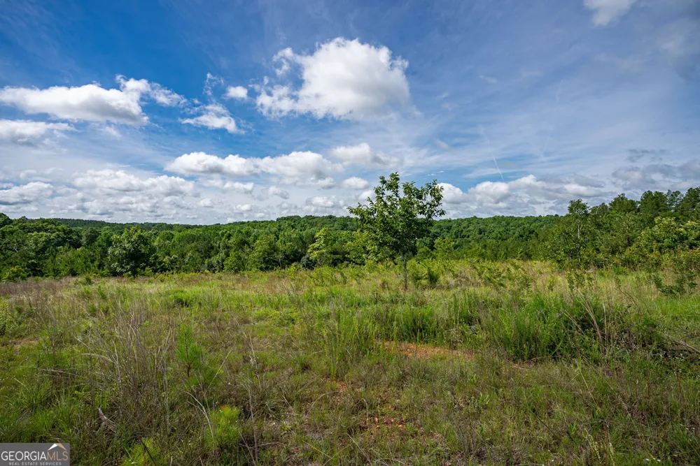 2286 Duffell Martin RD Comer, GA 30629