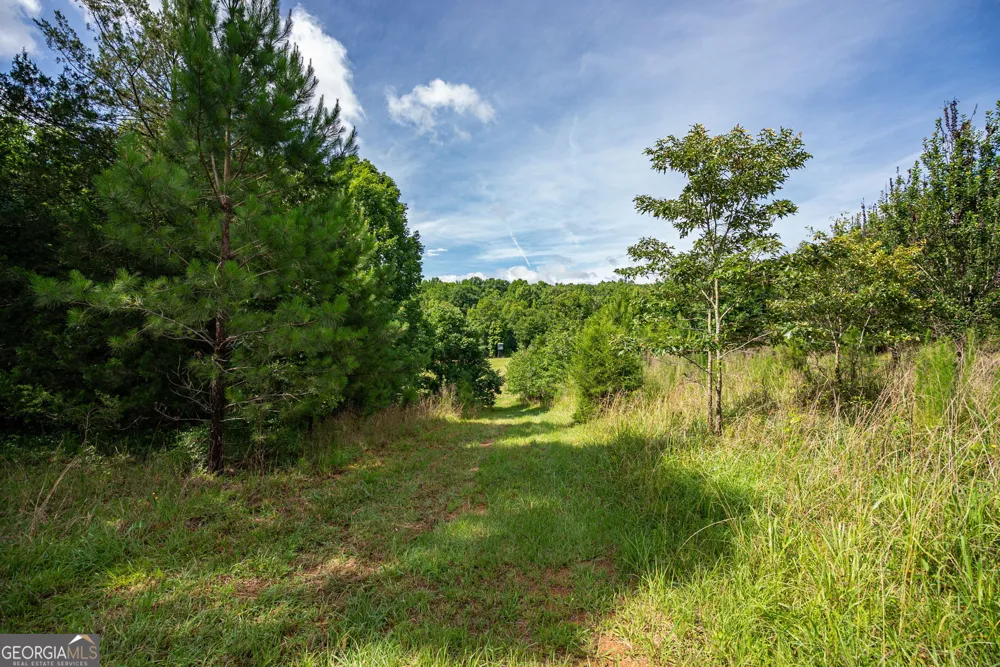 2286 Duffell Martin RD Comer, GA 30629