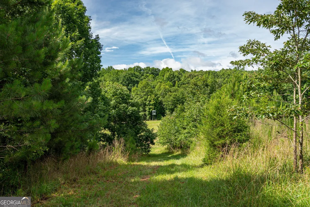 2286 Duffell Martin RD Comer, GA 30629