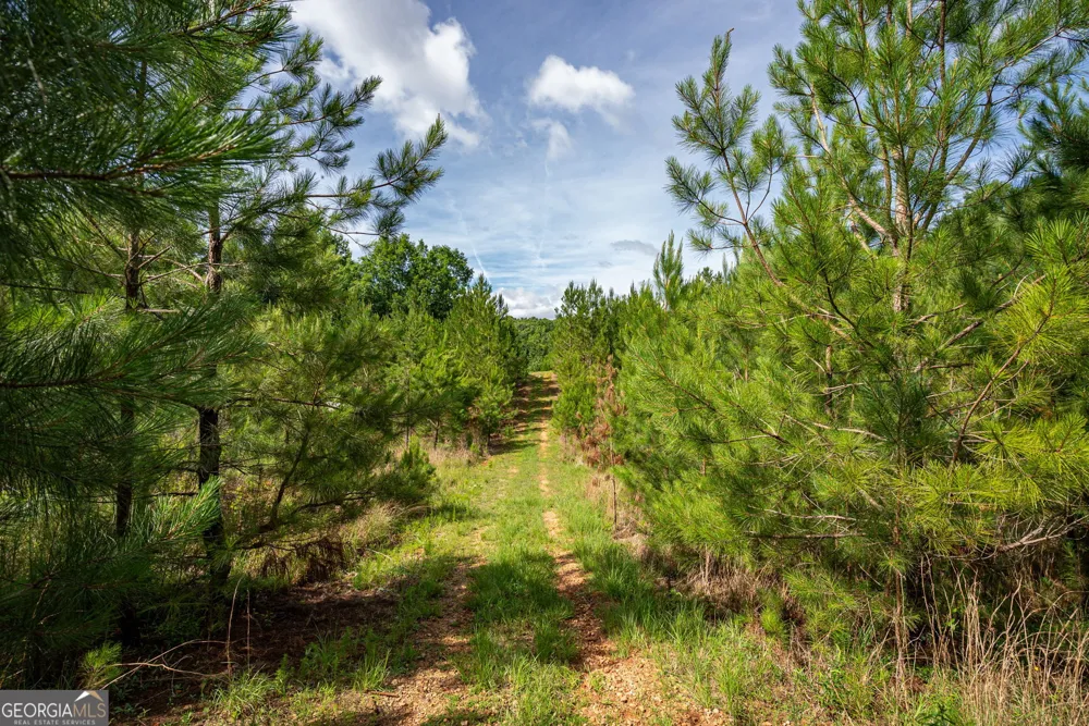 2286 Duffell Martin RD Comer, GA 30629