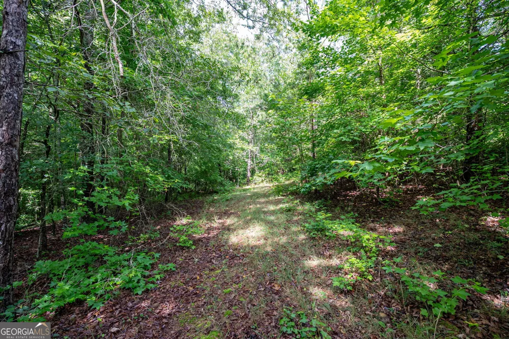 2286 Duffell Martin RD Comer, GA 30629