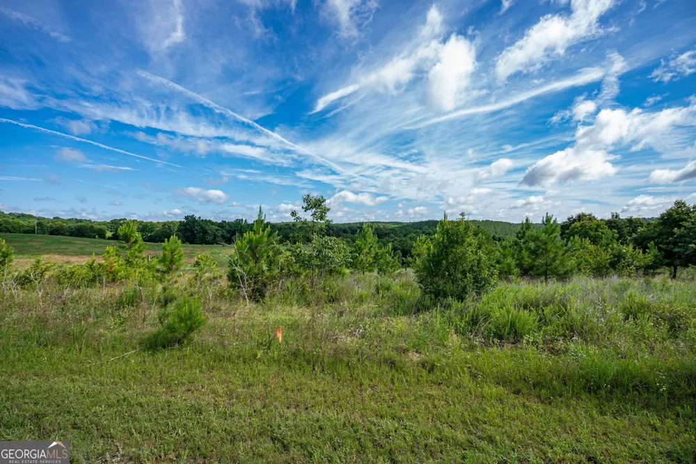 2286 Duffell Martin RD Comer, GA 30629