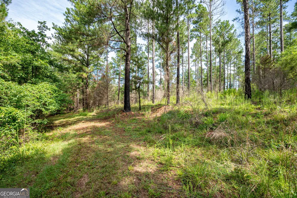 2286 Duffell Martin RD Comer, GA 30629