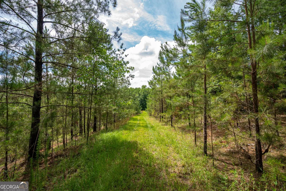 2286 Duffell Martin RD Comer, GA 30629
