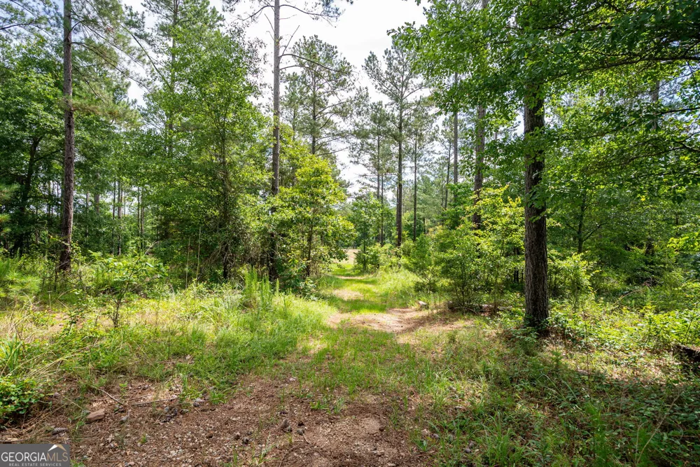 2286 Duffell Martin RD Comer, GA 30629