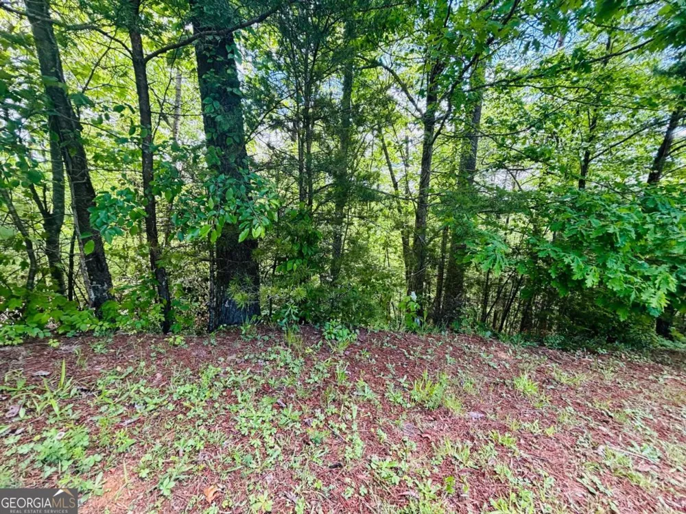 0 Rosen Strasse Helen, GA 30545
