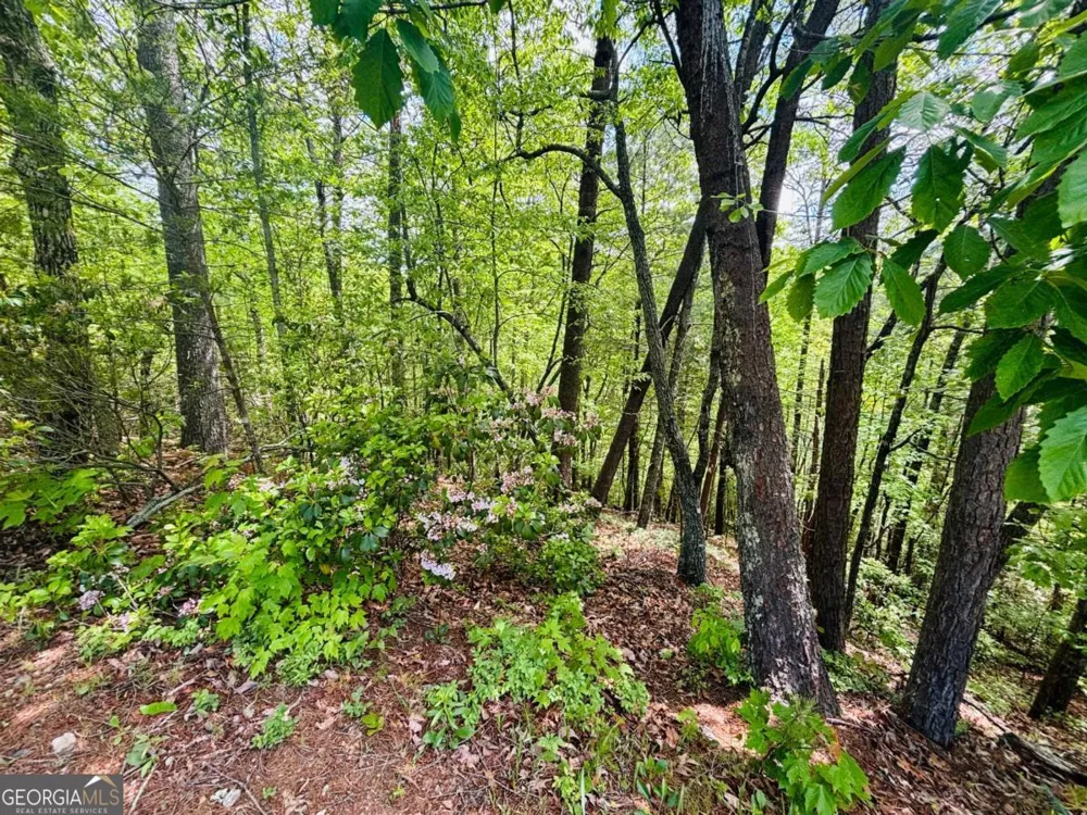 0 Rosen Strasse Helen, GA 30545