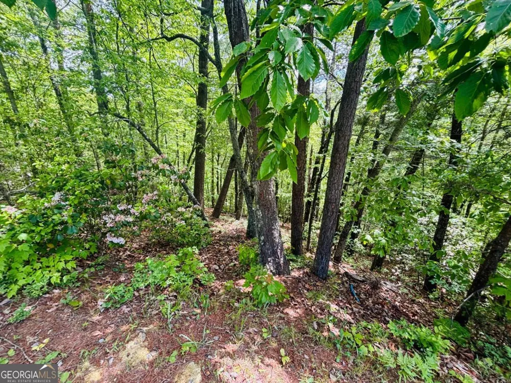 0 Rosen Strasse Helen, GA 30545