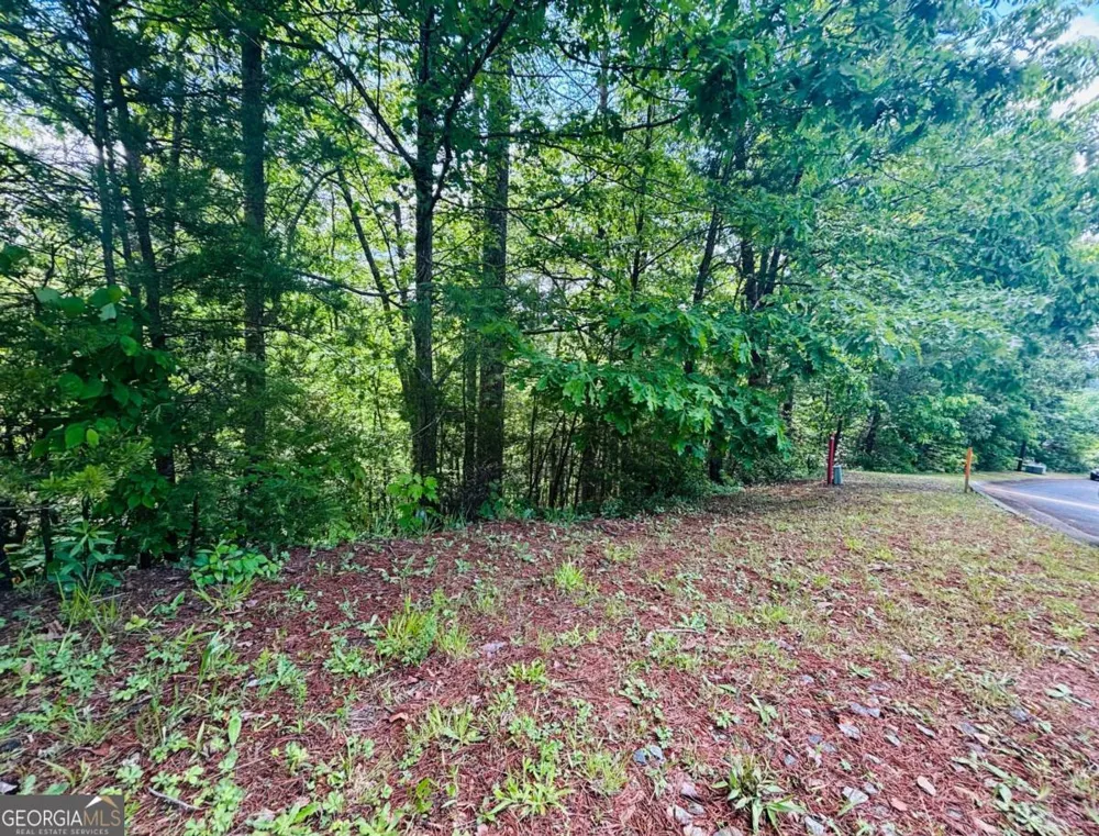 0 Rosen Strasse Helen, GA 30545