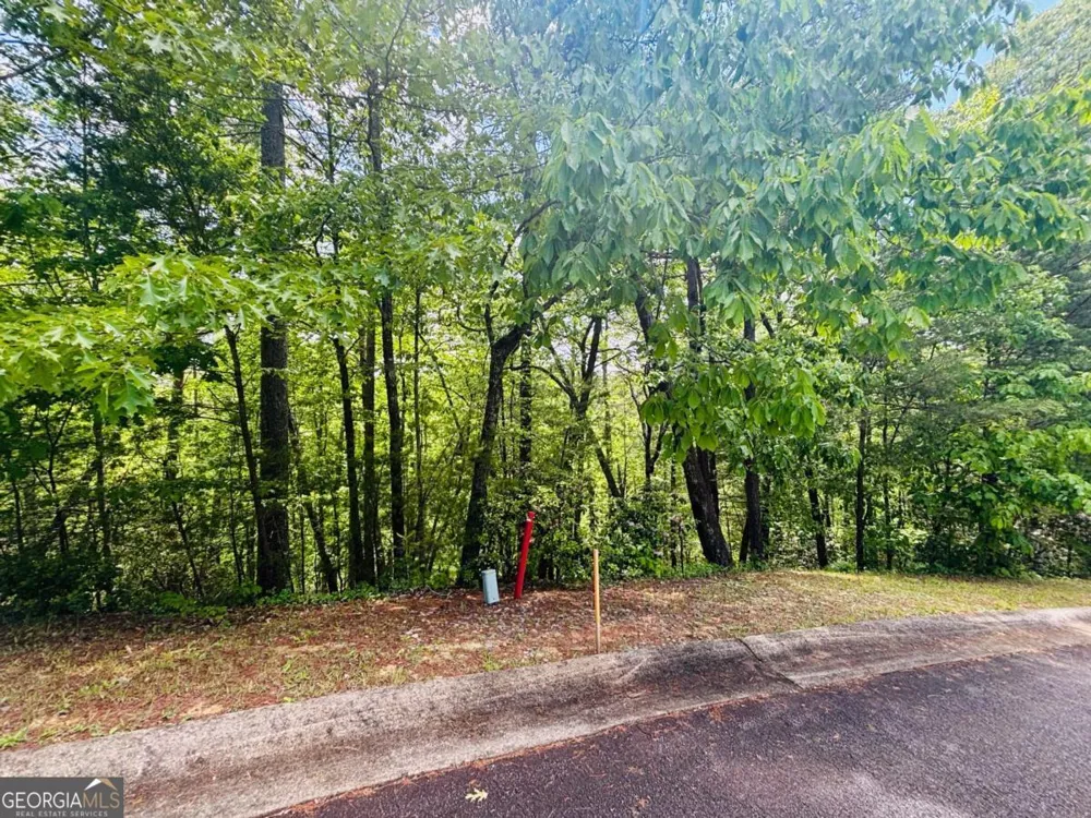 0 Rosen Strasse Helen, GA 30545