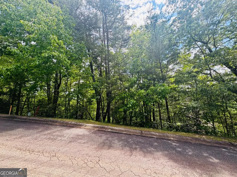 0 Rosen Strasse Helen, GA 30545