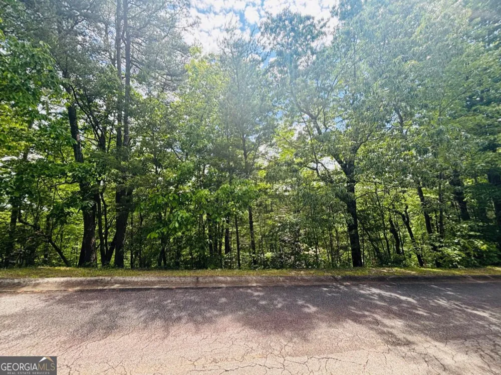 0 Rosen Strasse Helen, GA 30545