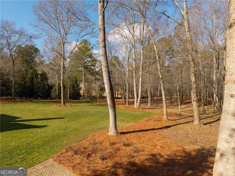 210 Etowah LNDG Ball Ground, GA 30107