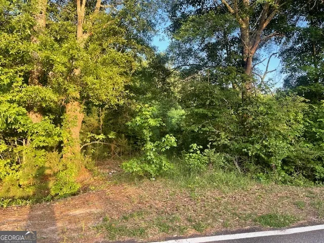 0 McCrary Road - Tract 3 Molena, GA 30258