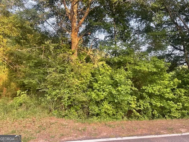 0 McCrary Road - Tract 3 Molena, GA 30258