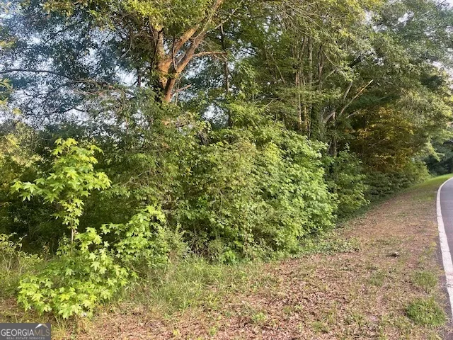 0 McCrary Road - Tract 3 Molena, GA 30258