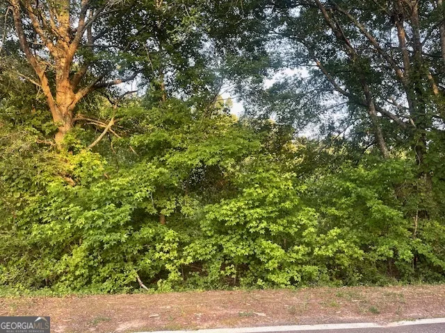 0 McCrary Road - Tract 3 Molena, GA 30258