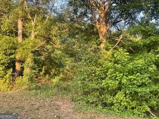 0 McCrary Road - Tract 3 Molena, GA 30258