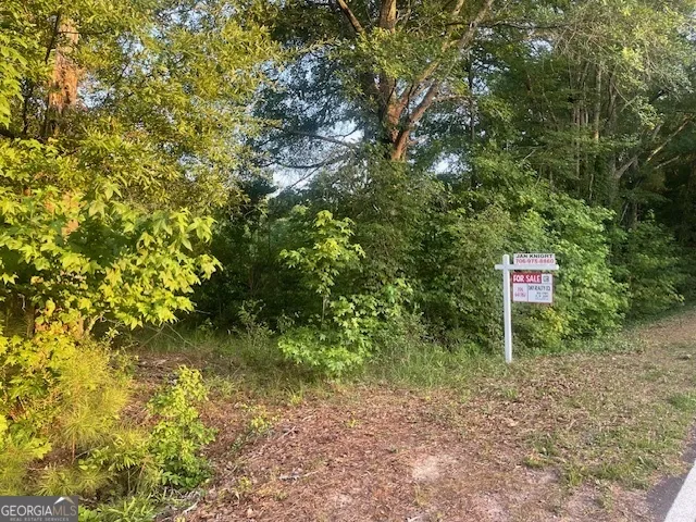 0 McCrary Road - Tract 3 Molena, GA 30258