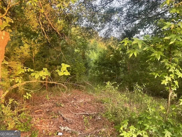 0 McCrary Road - Tract 3 Molena, GA 30258