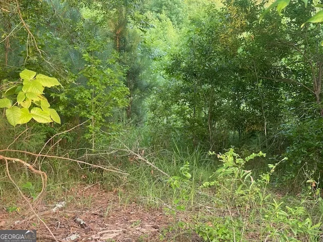 0 McCrary Road - Tract 3 Molena, GA 30258