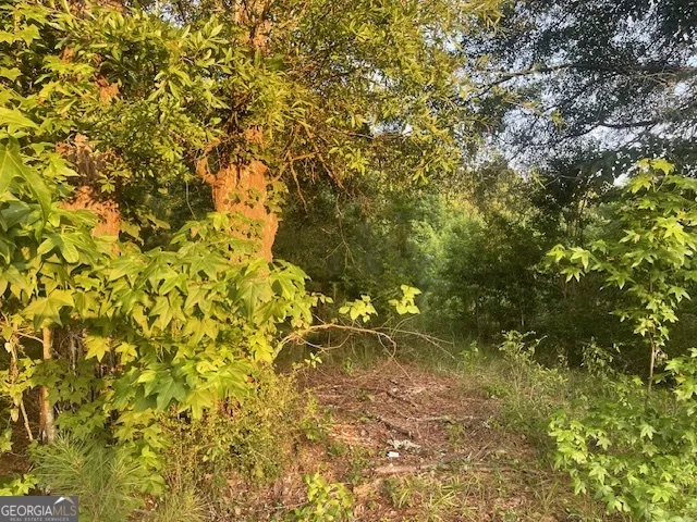 0 McCrary Road - Tract 3 Molena, GA 30258