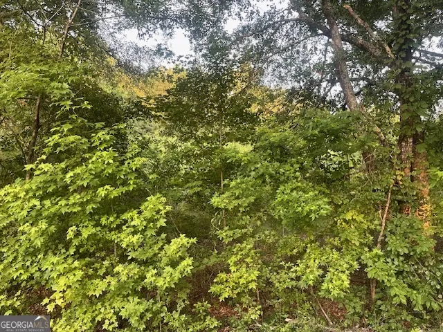 0 McCrary Road - Tract 3 Molena, GA 30258