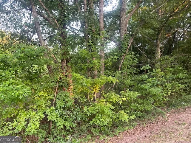 0 McCrary Road - Tract 3 Molena, GA 30258
