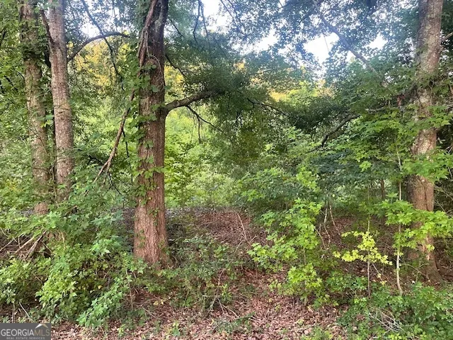 0 McCrary Road - Tract 3 Molena, GA 30258