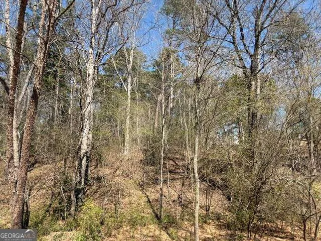 0 Jack Pittman RD Dacula, GA 30019