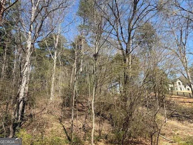 0 Jack Pittman RD Dacula, GA 30019