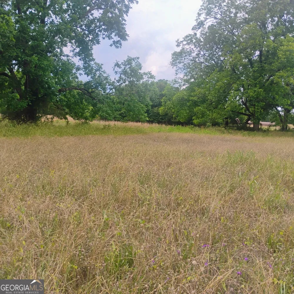 0 Sparta Hwy/ 27 acres Milledgeville, GA 31061