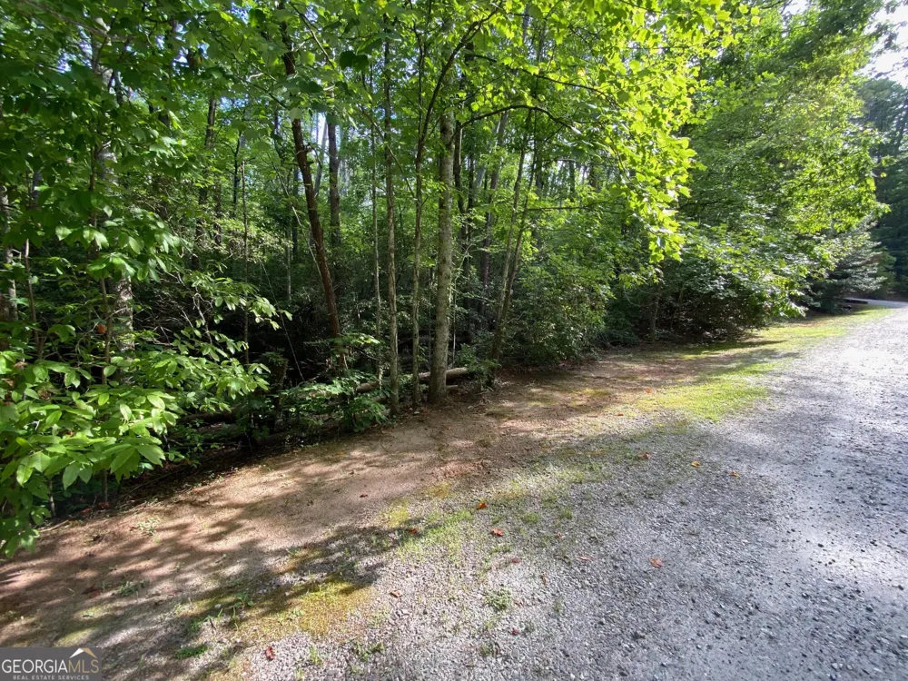 0 Sara LN Sautee Nacoochee, GA 30571