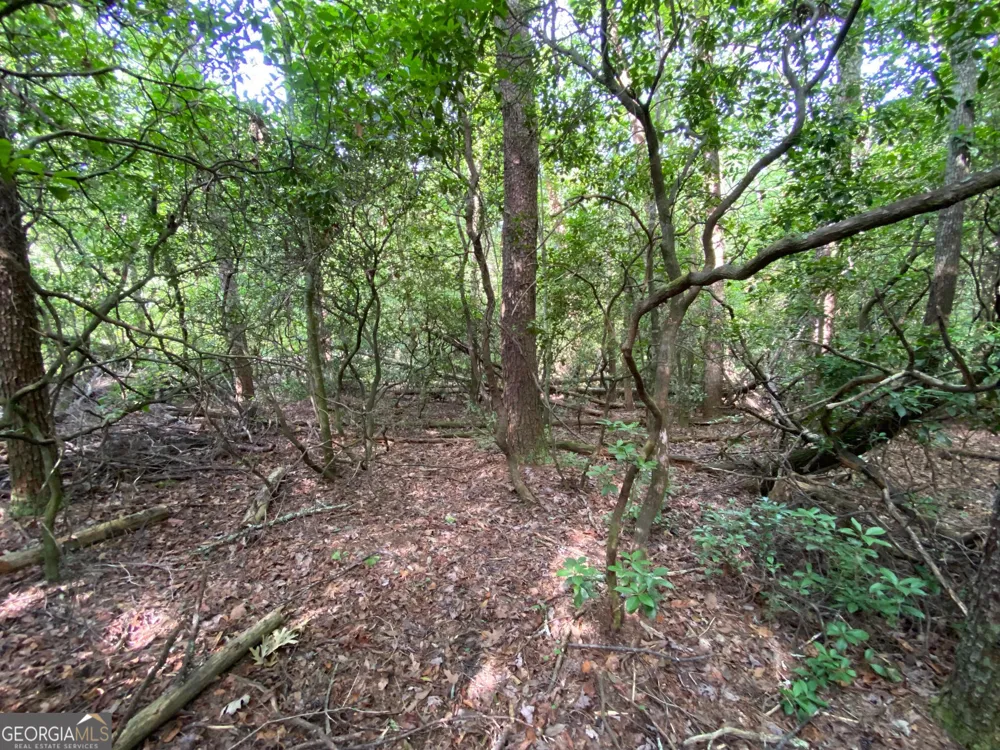 0 Sara LN Sautee Nacoochee, GA 30571