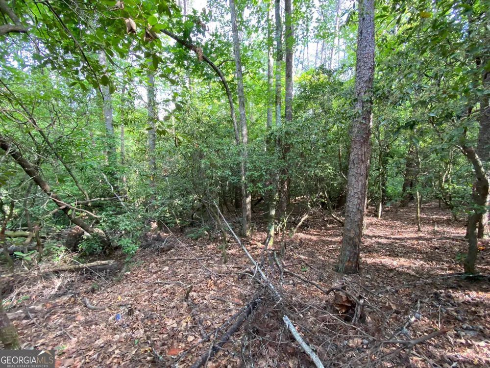 0 Sara LN Sautee Nacoochee, GA 30571