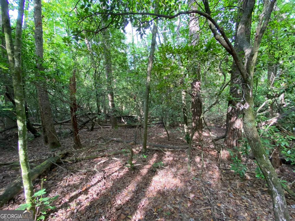 0 Sara LN Sautee Nacoochee, GA 30571