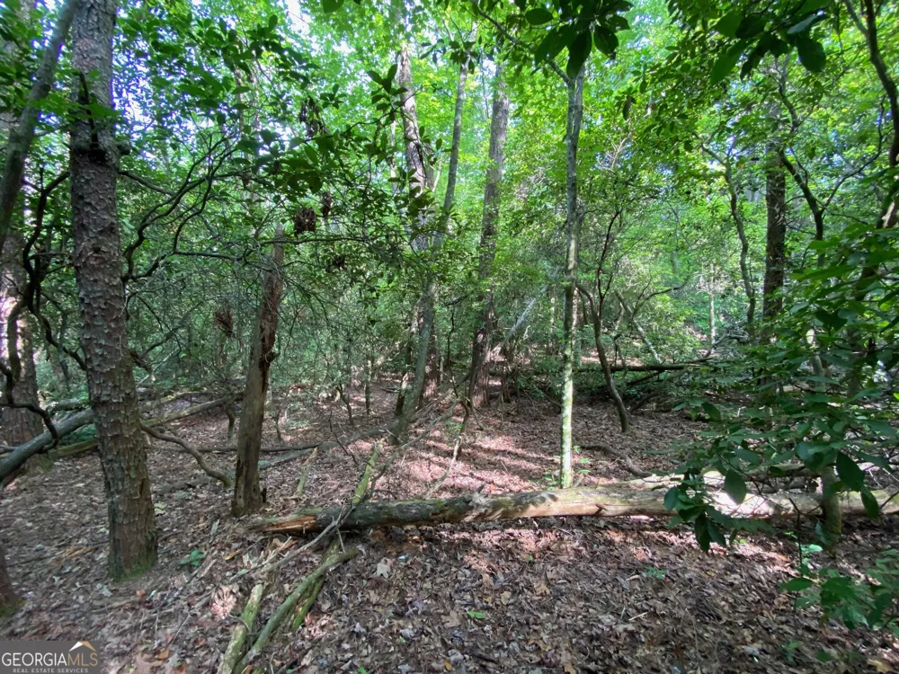 0 Sara LN Sautee Nacoochee, GA 30571