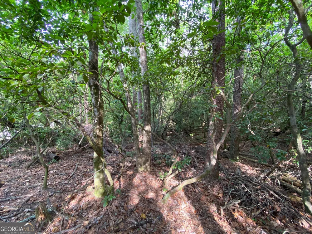 0 Sara LN Sautee Nacoochee, GA 30571