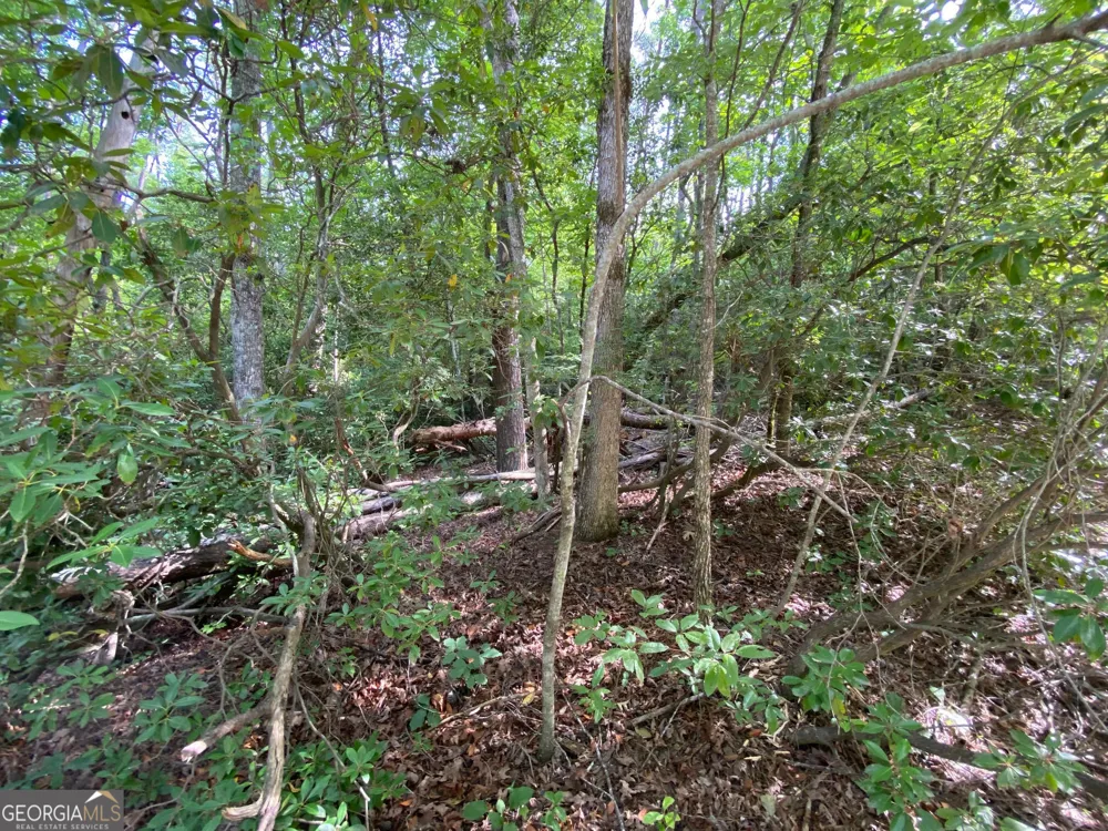 0 Sara LN Sautee Nacoochee, GA 30571